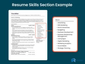 Highlight Key Skills and Experiences